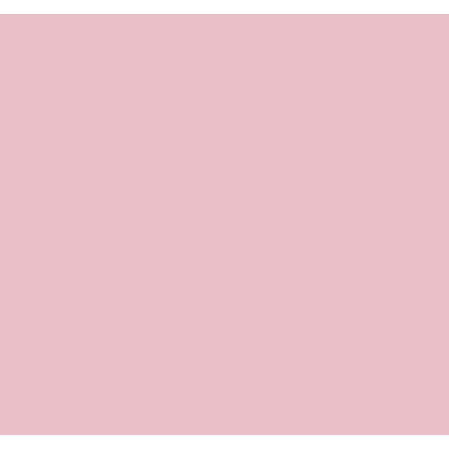 Light Pink Vinyl - Union Prints