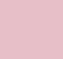 Light Pink Vinyl - Union Prints
