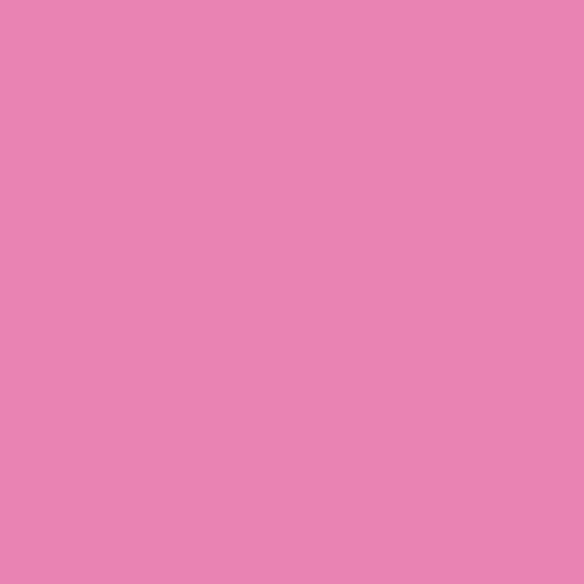 Bubble Gum Vinyl - Union Prints