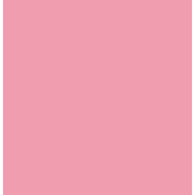 Flamingo Vinyl - Union Prints
