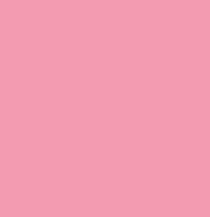 Pink flamingo vinyl decal by Union Prints, featuring a vibrant flamingo silhouette on a transparent background.