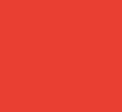 Fluorescent / Neon Coral Vinyl - Union Prints