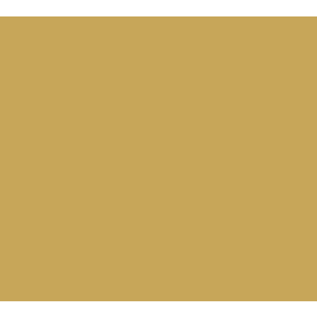 Gold Vinyl - Union Prints