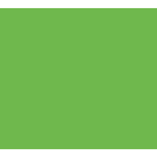 Green Apple Vinyl - Union Prints