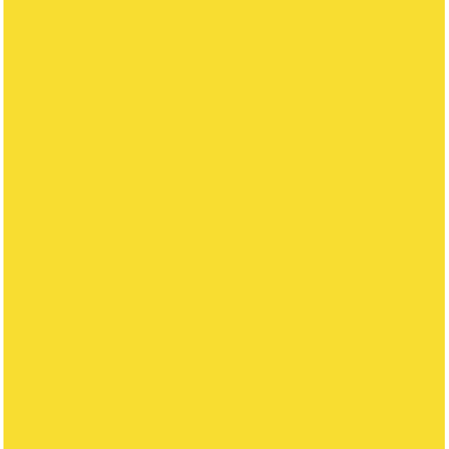 Lemon Vinyl - Union Prints