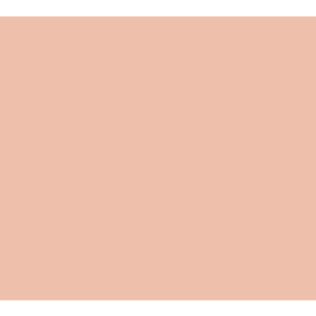 Pale Peach Vinyl - Union Prints