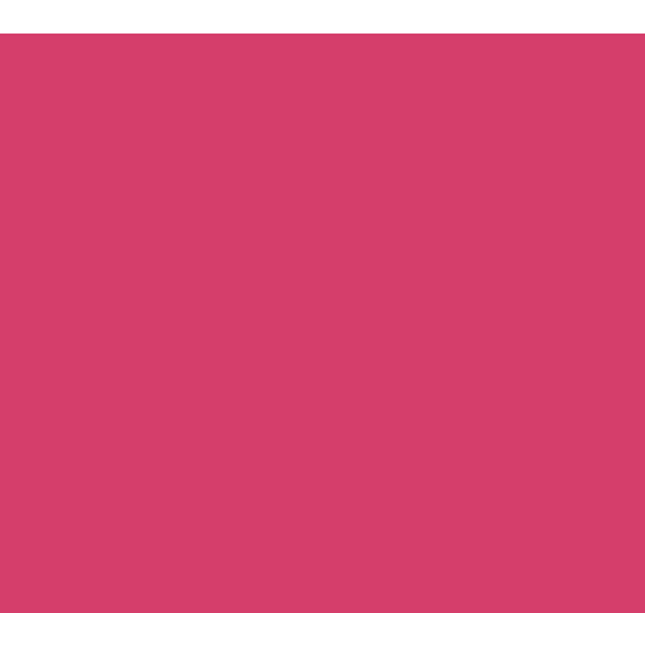 Pink Vinyl - Union Prints