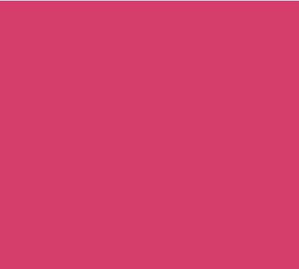 Pink Vinyl - Union Prints