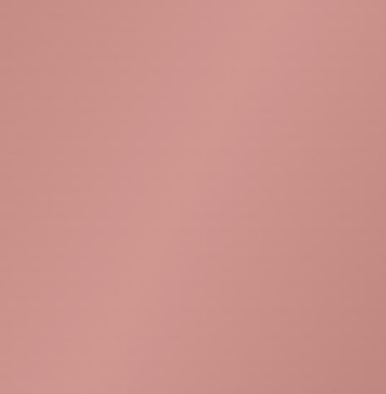 Rose Gold Vinyl - Union Prints